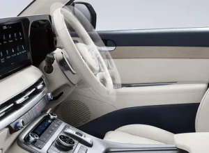 promo hyundai palisade Mimosa